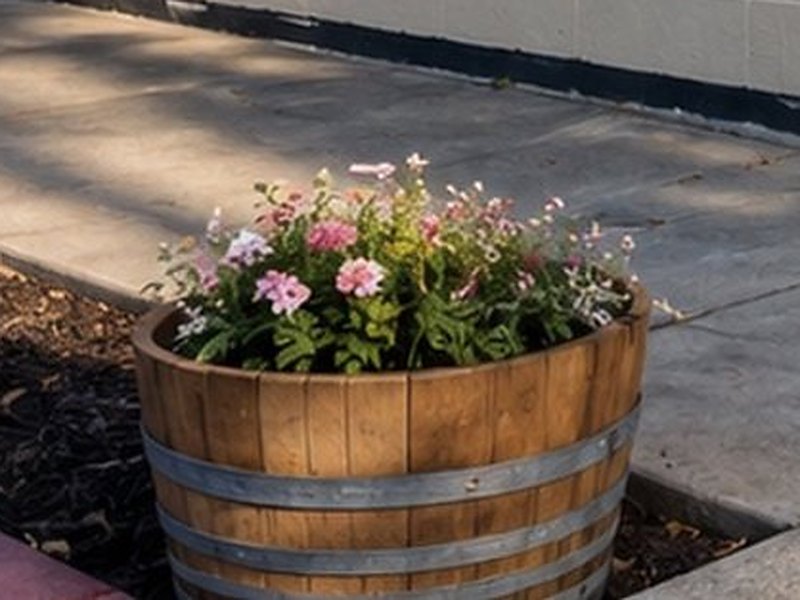 Pink and white blooms in a half-barrel planter on the sidewalk outside the venue
